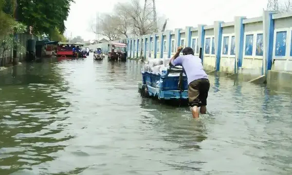Ancaman Banjir Rob hingga 6 Desember BPBD DKI Jakarta Ingatkan Warga ancaman banjir rob