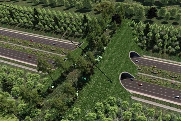Proyek IKN: Dari Jalan Tol Ramah Satwa hingga Masjid Negara tol ikn ramah hewan
