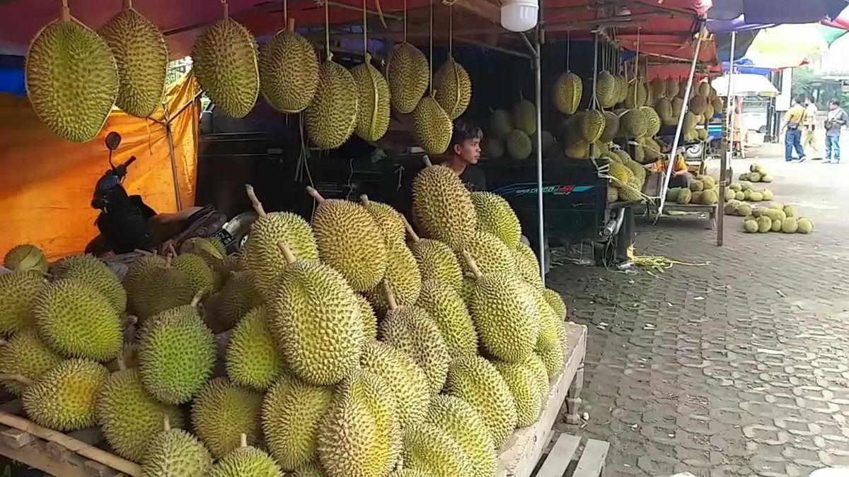 Durian-Cheng-Ho-Pasuruan