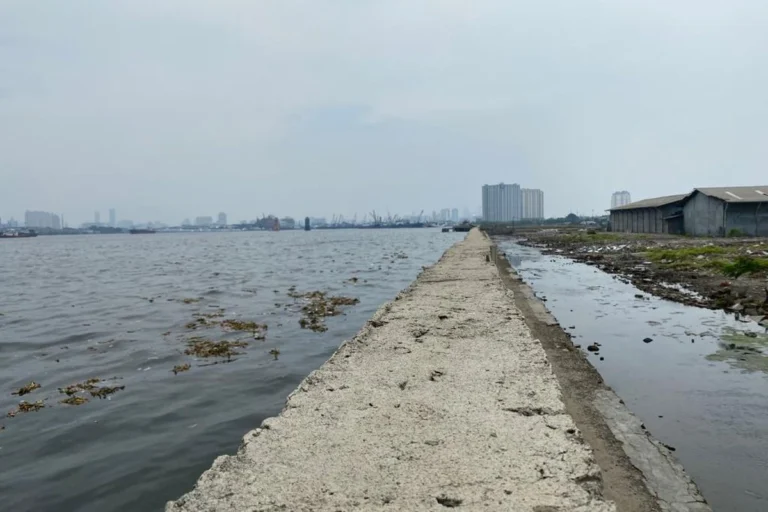 Gempa-Megathrust-Selatan-Jawa