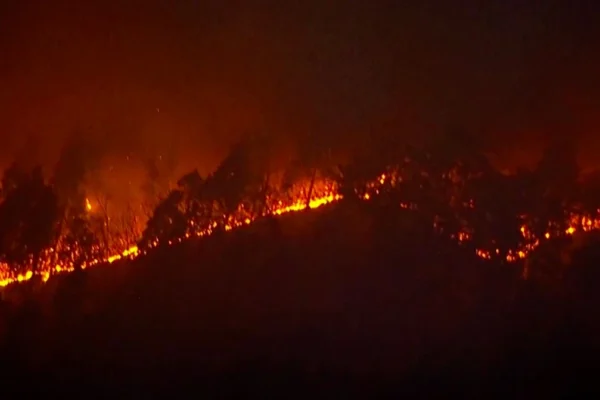 Jepang Dilanda Kebakaran Hutan Terbesar dalam 3 Dekade, 1.200 Hektare Terbakar Kebakaran hutan terbesar Jepang