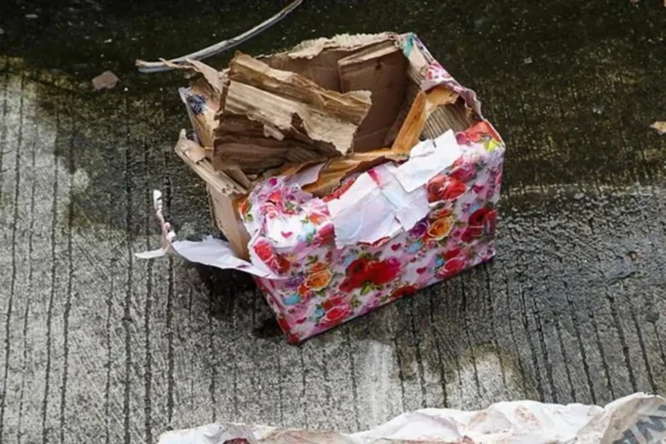 Kantor Tempo Diteror Lagi: Bangkai Tikus Tanpa Kepala Dikirim dalam Kertas Kado Teror Tikus