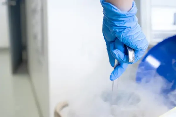 Biaya Egg Freezing di Indonesia: Fakta, Prosedur, dan Efek Samping yang Perlu Diketahui Egg Freezing