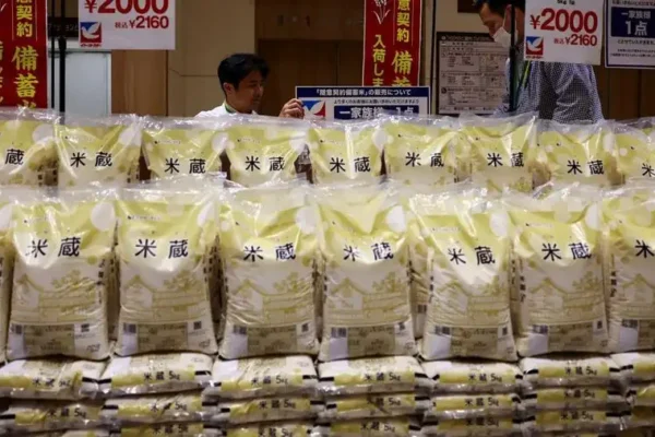 Krisis Harga Beras Jepang: Petani Tercekik, Pemerintah Tertekan Beras Jepang