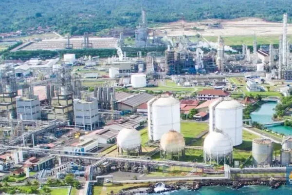 IPO CDIA: Bisnis dan Jeroan Aset Prajogo Pangestu Chandra Daya Investasi