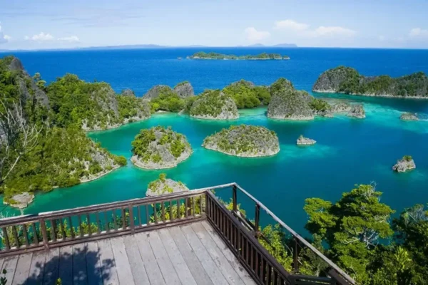 Greenpeace Soroti Tambang Nikel di Pulau Kecil Raja Ampat, Pemerintah Hentikan Operasi Raja Ampat