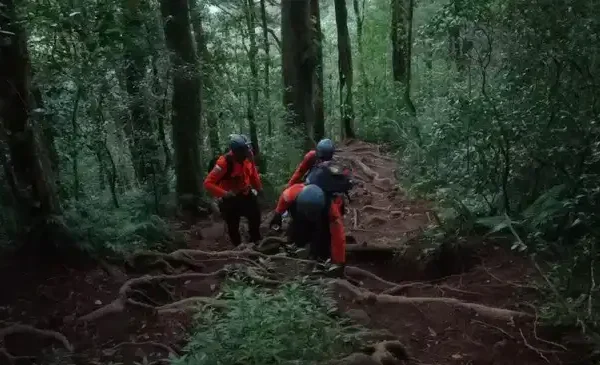 4 Pendaki Tersesat di Gunung Batukaru Bali Berhasil Dievakuasi Tim SAR Bali