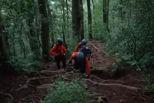 4 Pendaki Tersesat di Gunung Batukaru Bali Berhasil Dievakuasi Tim SAR Bali