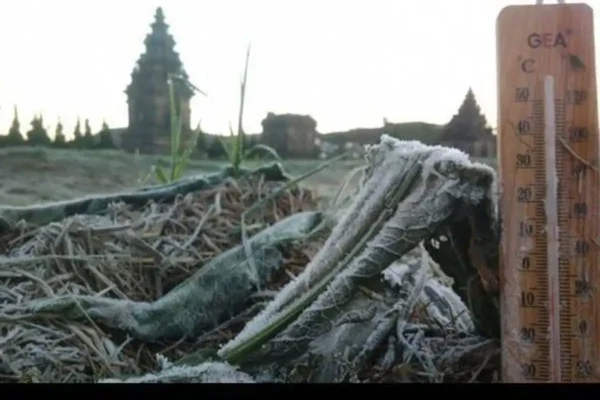 Fenomena Bediding Saat Kemarau: Ini Penyebab Suhu Dingin Fenomena Bediding