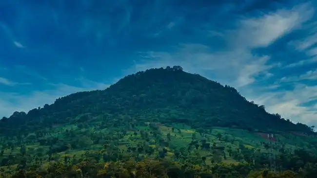Hutan-Gunung-Cikuray