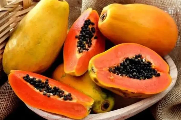 10 Makanan yang Harus Dihindari Saat Konsumsi Pepaya Ilustrasi Pepaya