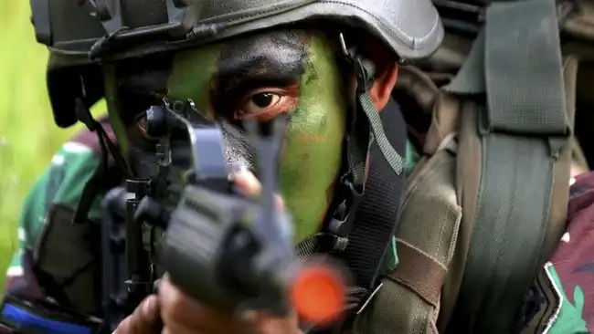Ilustrasi TNI