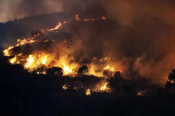 Gelombang Panas Eropa, Kebakaran Hutan di Banyak Negara Kebakaran hutan di Turki