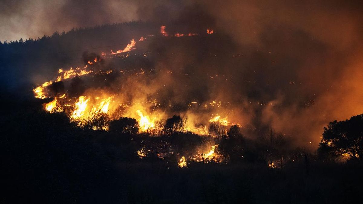 Kebakaran hutan di Turki