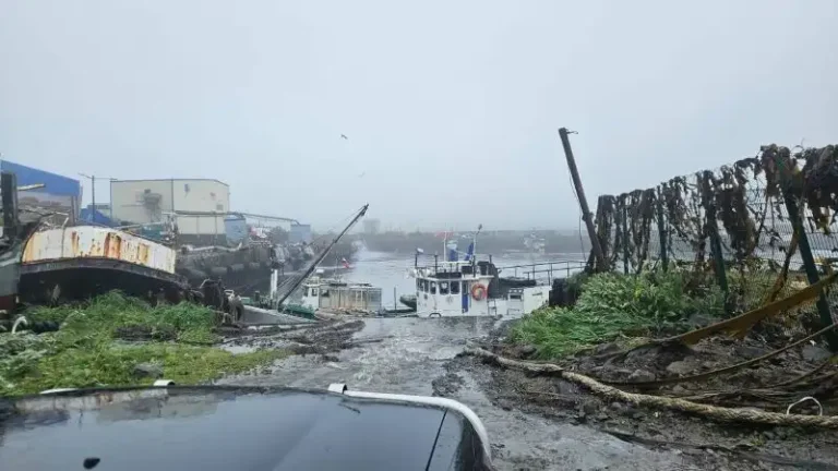 Tsunami Kamchatka