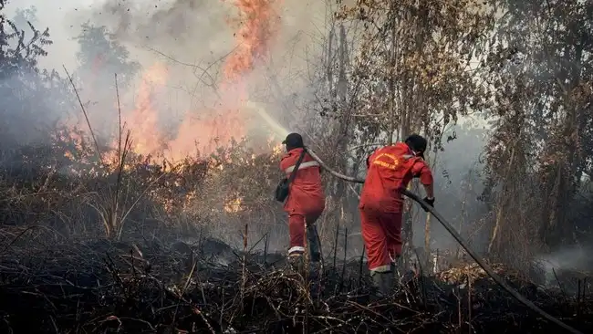 kebakaran hutan riau