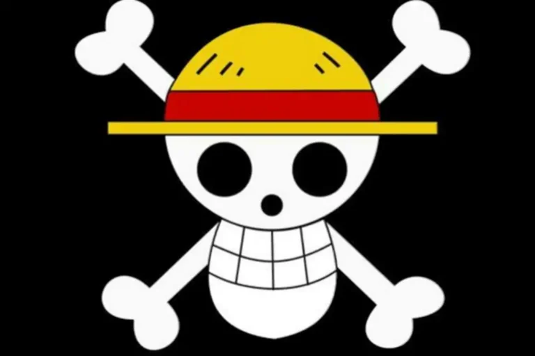 Bendera One Piece