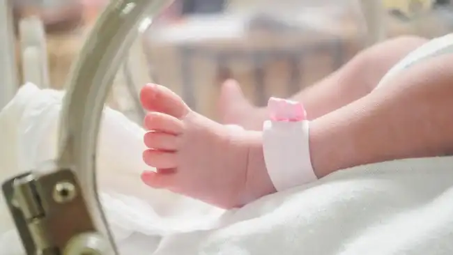 Ilustrasi Bayi
