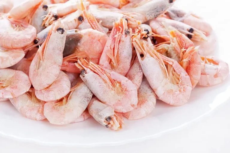 Ilustrasi udang beku