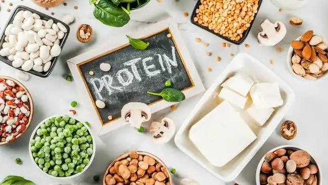 Ilustrasi makanan protein