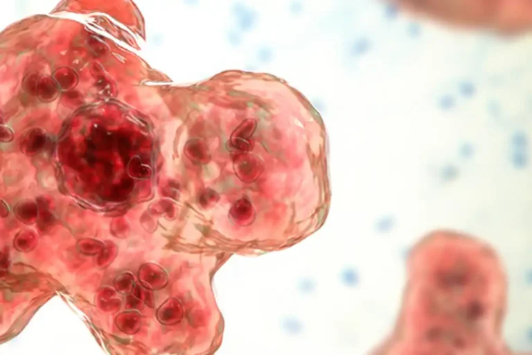 ilustrasi amoeba