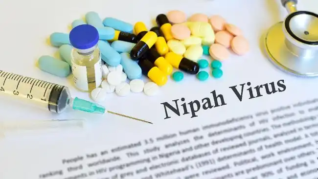 Ilustrasi Virus Nipah