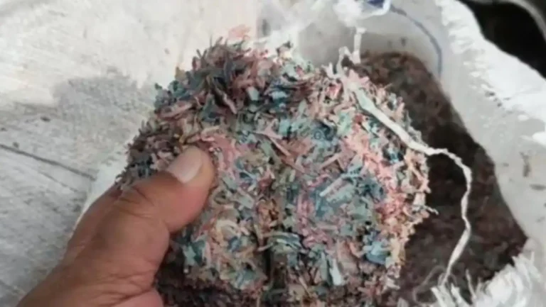 Karung Potongan Uang