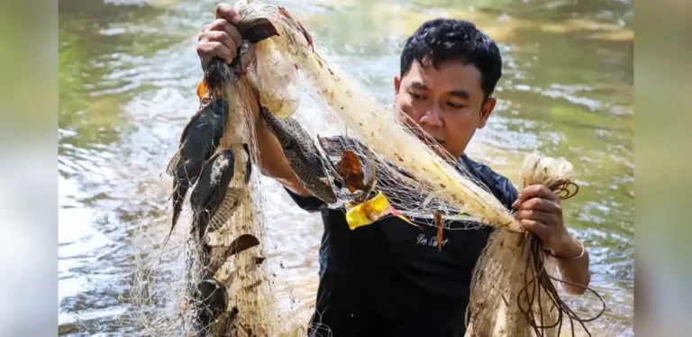 Ikan Sapu Sapu