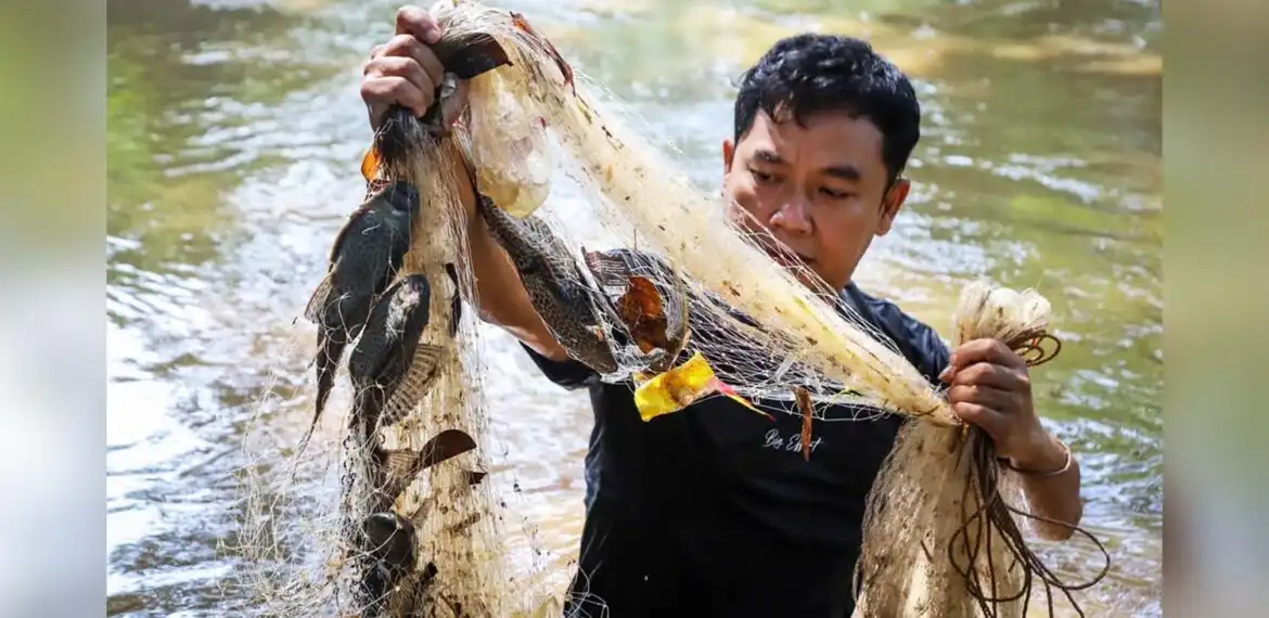 Ikan Sapu Sapu