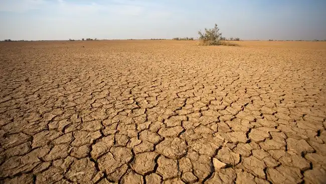 Ilustrasi El Nino