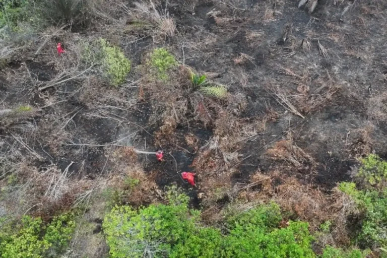Potret dari udara kondisi lahan gambut yang habis terbakar