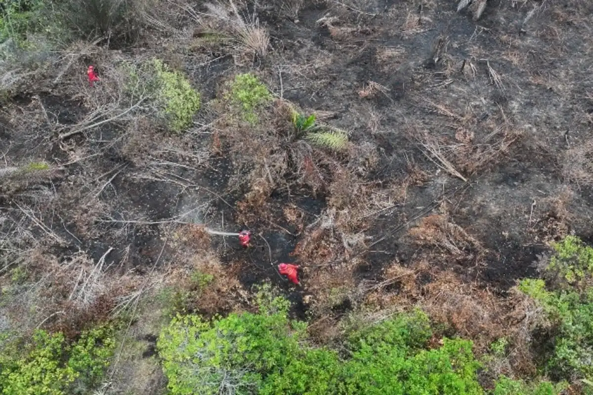 Potret dari udara kondisi lahan gambut yang habis terbakar