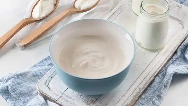 Ilustrasi Greek Yogurt