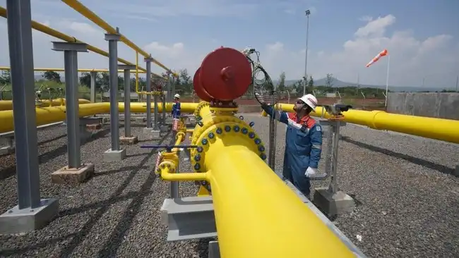 Operator Cisem II
