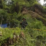 Tambang emas ilegal