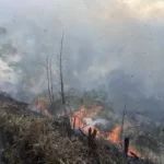 Karhutla