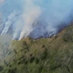 Kebakaran Kawasan Bromo