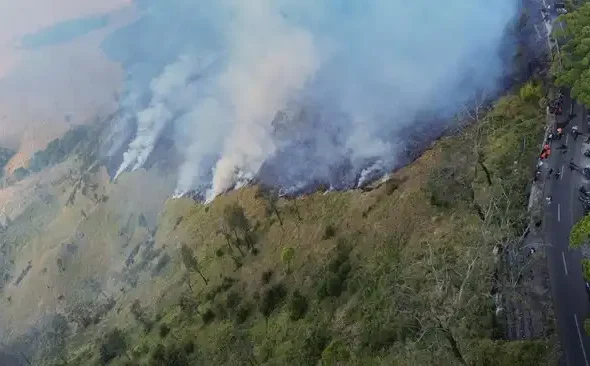 Kebakaran Kawasan Bromo