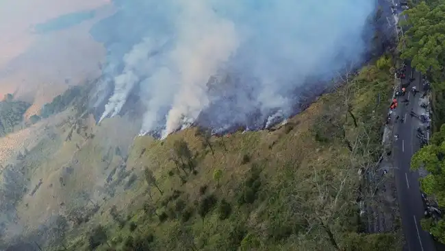 Kebakaran Kawasan Bromo
