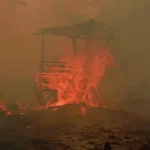 Kebakaran lahan di Palangka Raya