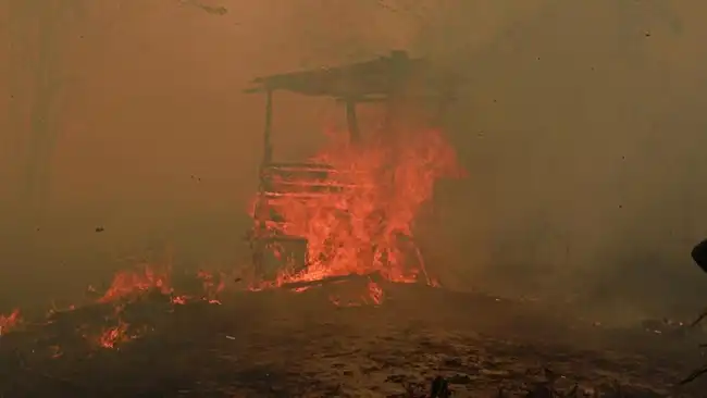 Kebakaran lahan di Palangka Raya