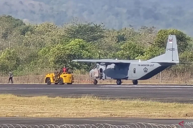 Pesawat TNI AL