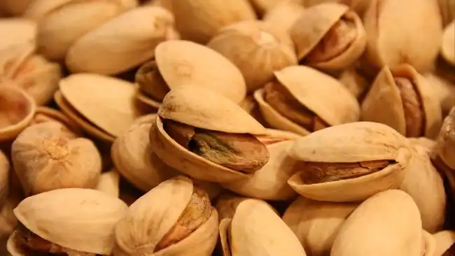 Pistachio