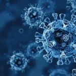 Virus