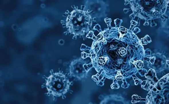 Virus