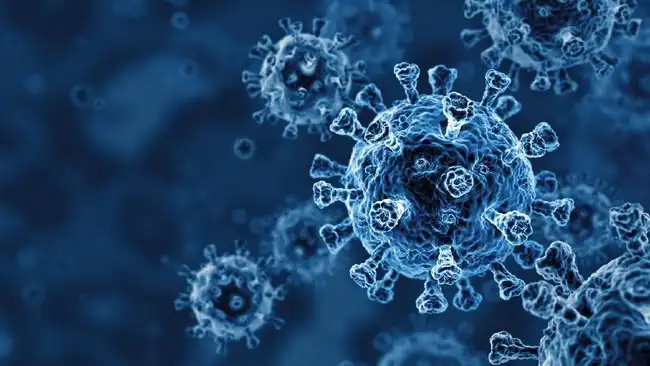 Virus