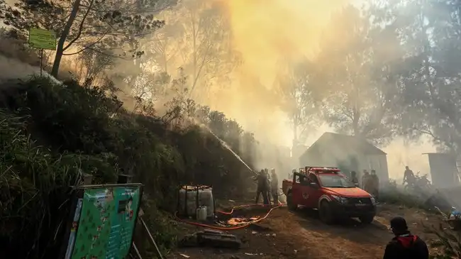 Karhutla Gunung Ijen