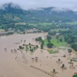 Banjir Thailand merendam kawasan permukiman dan memunculkan satwa liar seperti ular dan buaya]