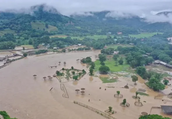 Banjir Thailand merendam kawasan permukiman dan memunculkan satwa liar seperti ular dan buaya]