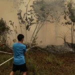 Pemerintah gelar evaluasi karhutla Kalimantan lewat rapat terbatas]